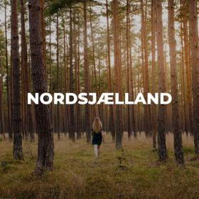 Kvinde i skov i Nordsjælland